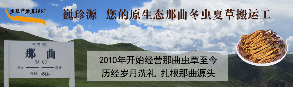 ���x�Ĳ�,��B���������x�������r�x�ݺ��������r���x�Ĳ�,���l�����x�Ĳ݃r��